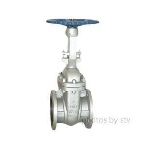 Cast Steel Gate Valve