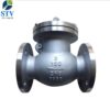 Stainless Steel Swing Check Valve,150 LB,3 Inch,304 Body And Trim