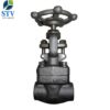 Forged Steel Gate Valve Class 800 - Image 2