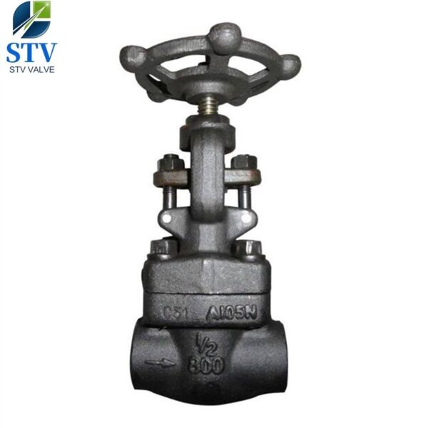 Forged Steel Gate Valve Class 800 – Bild 2