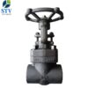 Forged Steel Gate Valve Class 800
