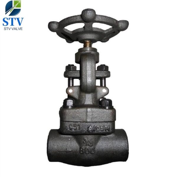 Forged Steel Gate Valve Class 800 – Bild 3