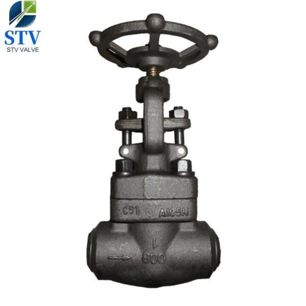 Forged Steel Gate Valve Class 800 – Bild 5