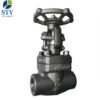 Forged Steel Gate Valve Class 800 - Image 6