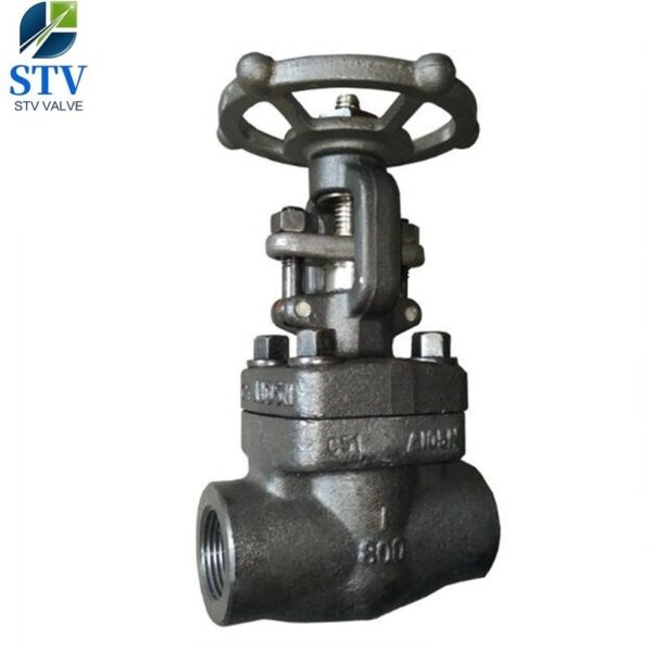 Forged Steel Gate Valve Class 800 – Bild 6