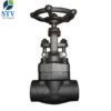 Forged Steel Gate Valve Class 800 - Image 4