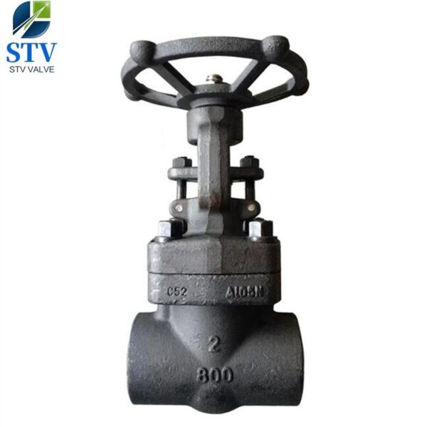 Forged Steel Gate Valve Class 800