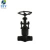 Forged Steel Globe Valve Class 2500 - Image 5