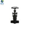 Forged Steel Globe Valve Class 2500