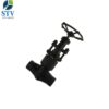 Forged Steel Globe Valve Class 2500 - Image 4
