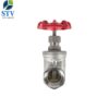 Screwed Stainless Steel Gate Valve,200PSI,CF8M Body,NPT End - Image 3