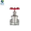 Screwed Stainless Steel Gate Valve,200PSI,CF8M Body,NPT End
