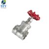 Screwed Stainless Steel Gate Valve,200PSI,CF8M Body,NPT End - Image 5