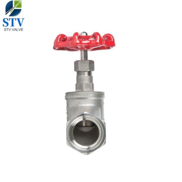 Screwed Stainless Steel Globe Valve - imagine 3