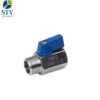 Screwed Stainless Steel Mini Ball Valve