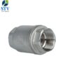Stainless Steel Screwed Spring Check Valve ,DN40,NPT End - Image 4