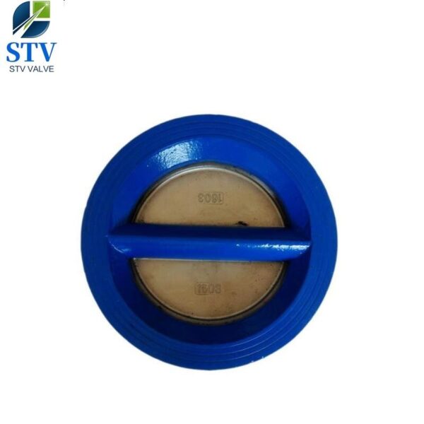 Cast Iron Double Flange Wafer Check Valve - immagine 3