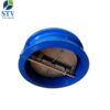 Cast Iron Double Flange Wafer Check Valve - Image 5