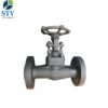 Forged Steel Flange Gate Valve