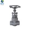Forged Steel Globe Valve Class 800 - Image 3