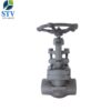 Forged Steel Globe Valve Class 800 - Image 5