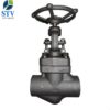 Forged Steel Globe Valve Class 800