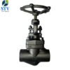 Forged Steel Globe Valve Class 800 - Image 2