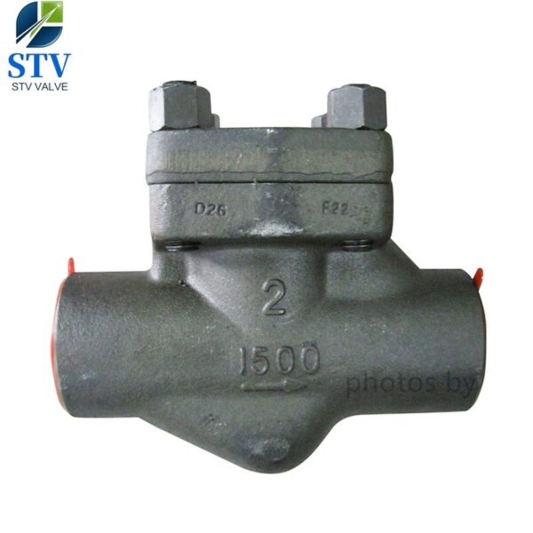 Forged Steel Piston Check Valve Class 800 – Bild 2