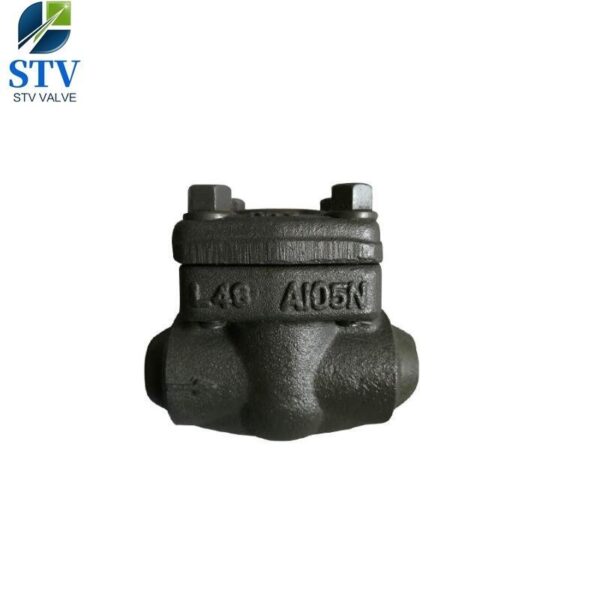 Forged Steel Piston Check Valve Class 800 – Bild 3