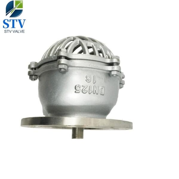 Stainless Steel Flange Foot Valve — изображение 2