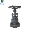 API 602 Forged Steel Globe Valve,800LB,Butt-Weld End