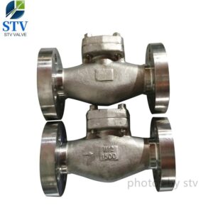 Forged Steel Check Valve