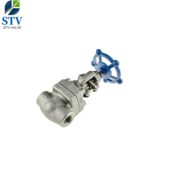 Class 800 Forged Stainless Steel Gate Valve - imagine 3