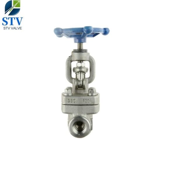 Class 800 Forged Stainless Steel Gate Valve - imagine 5