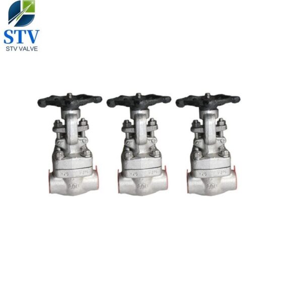 Class 800 Forged Stainless Steel Gate Valve - imagine 4