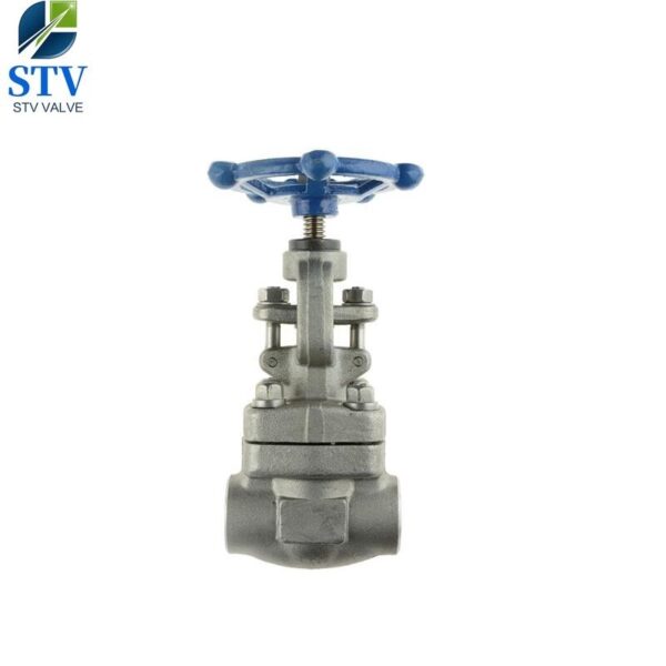 Class 800 Forged Stainless Steel Gate Valve - imagine 2
