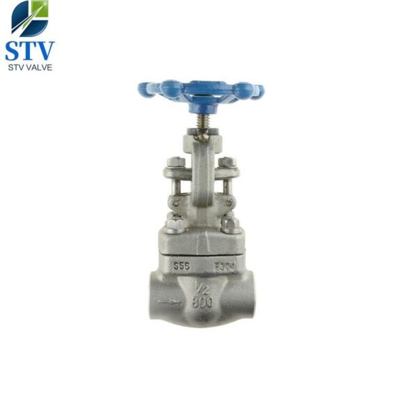Class 800 Forged Stainless Steel Gate Valve