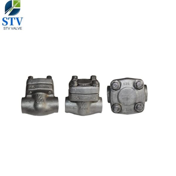 Forged Stainless Steel Swing Check Valve Class 800 - Image 2