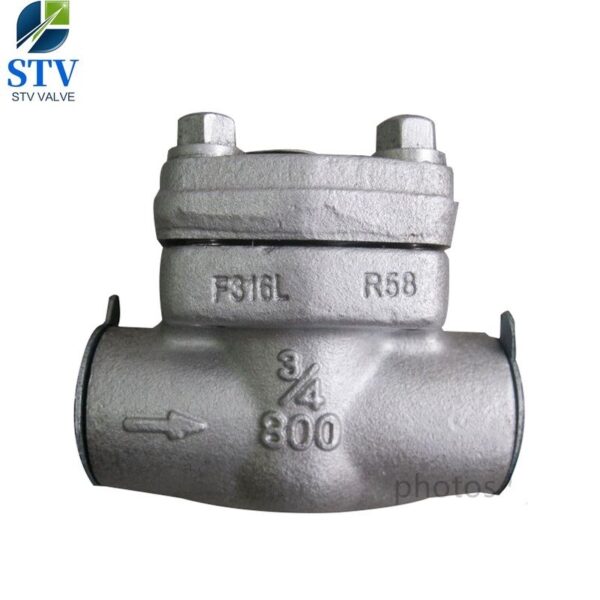 Forged Stainless Steel Swing Check Valve Class 800