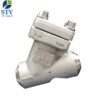 Forged Stainless Steel Y Strainer