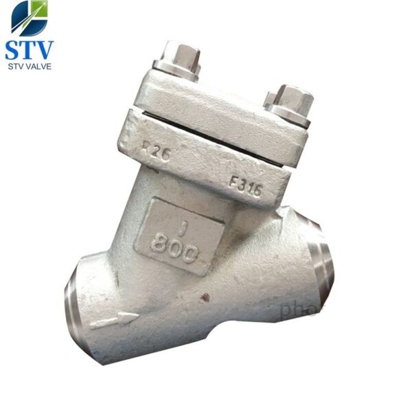 Forged Stainless Steel Y Strainer