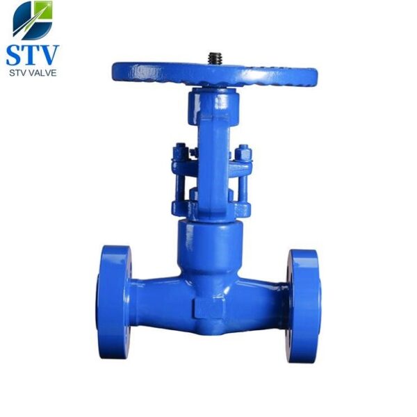 Globe Valve Class 2500LB,F22 Body,304 Trim,Flange End