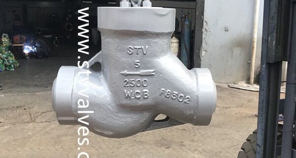 2500LB Lift check valve supplier