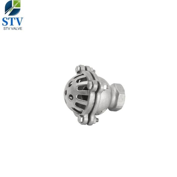 Screw End Stainless Steel Foot Valve - Imagen 2