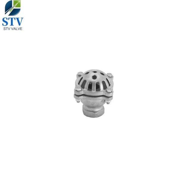 Screw End Stainless Steel Foot Valve