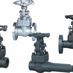 Forged Steel Gate Valve