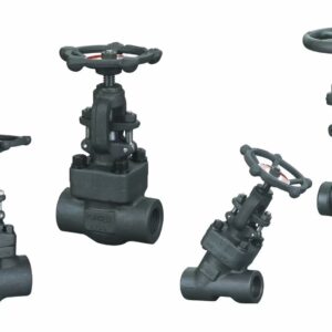 Forged Steel Globe Valve