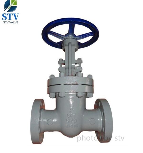 Cast Steel Gate Valve 600LB,3 Inch,API 600,Flanged End