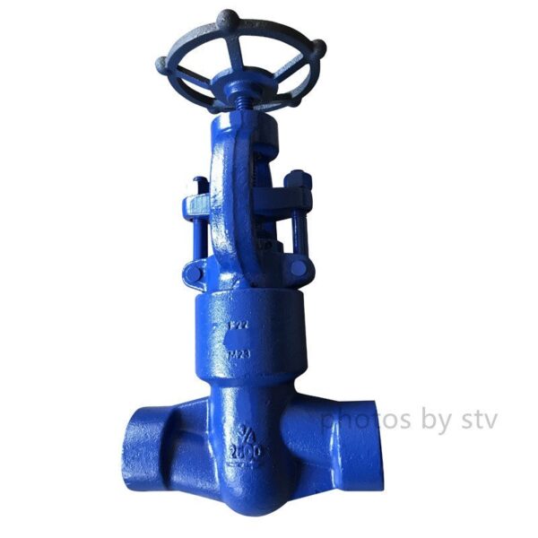 High Pressure Globe Valve,2500LB,F22 Body,304 Trim,SW END