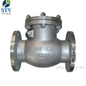 Stainless Steel Check Valve